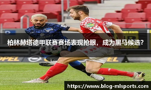 米兰体育官方网站